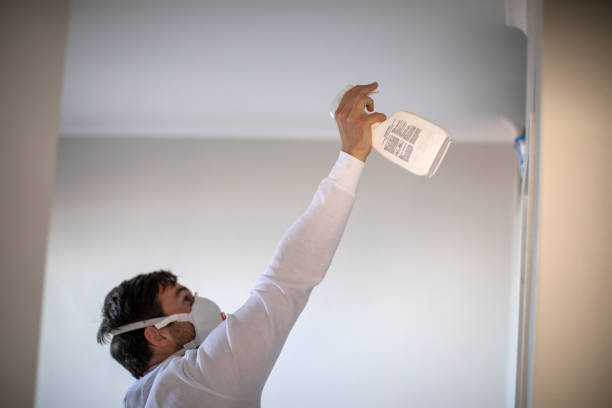 Best Mold Damage Repair  in Walton, KY